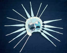 Click here to get a closer look