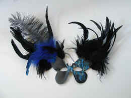 Click here to get a closer look